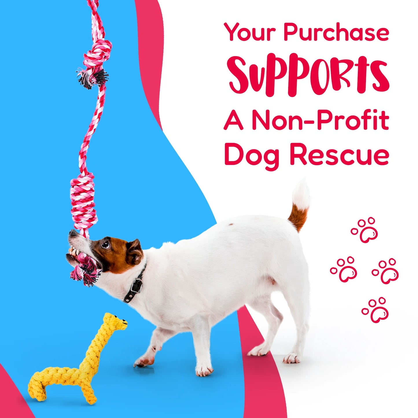 Dog Toy Pack of 11 Puppy Teething Toys