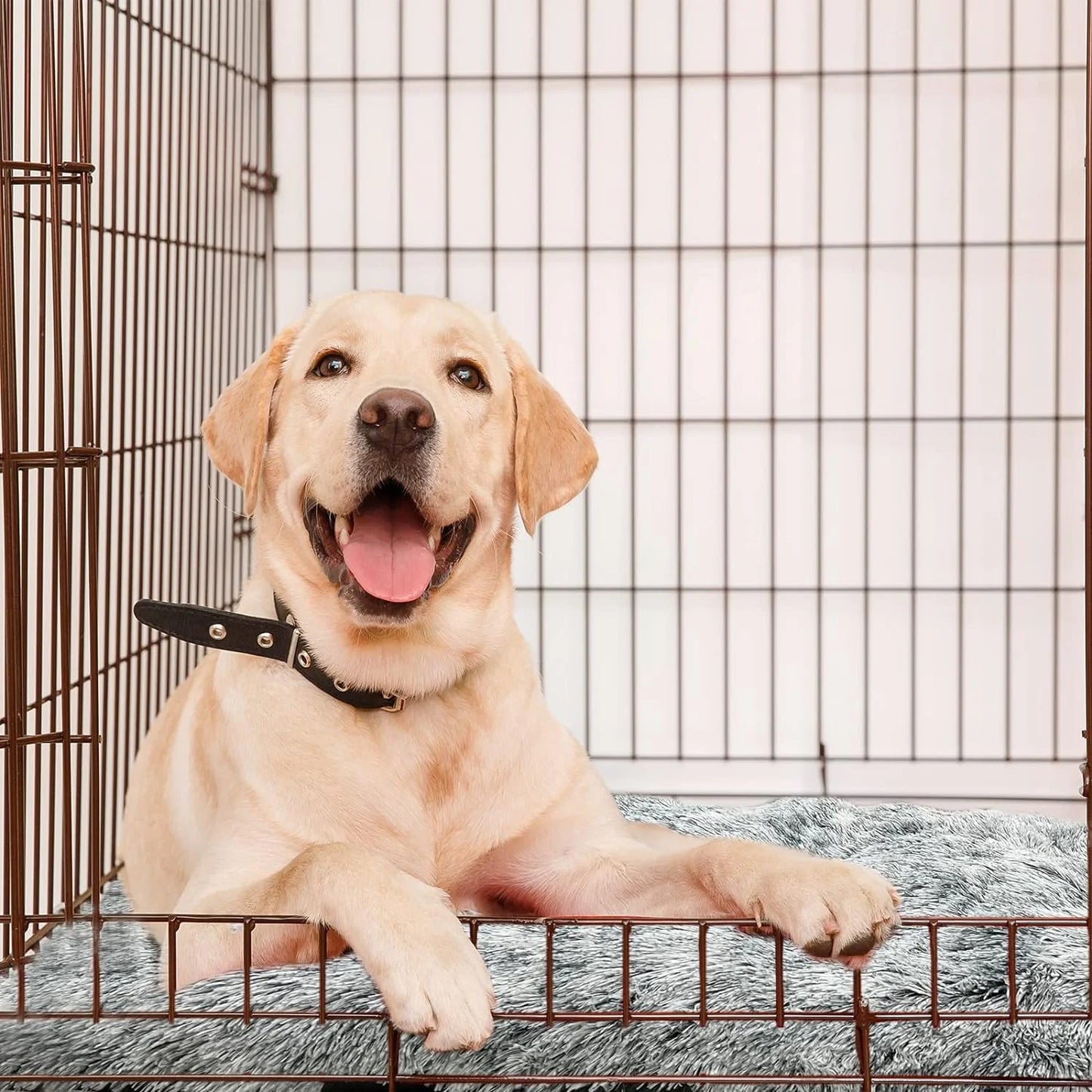 Pet Beds for Large Dogs - Beige - 41''×27''