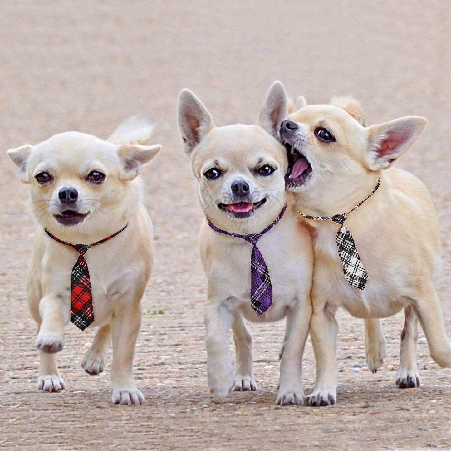 Segarty Adjustable Dog Neck Ties for Large Dogs