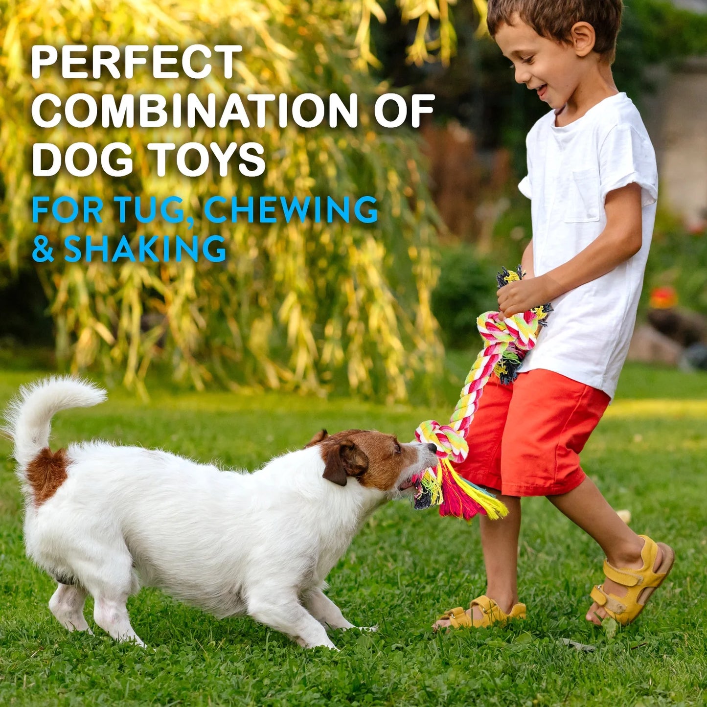 Dog Toy Pack of 11 Puppy Teething Toys
