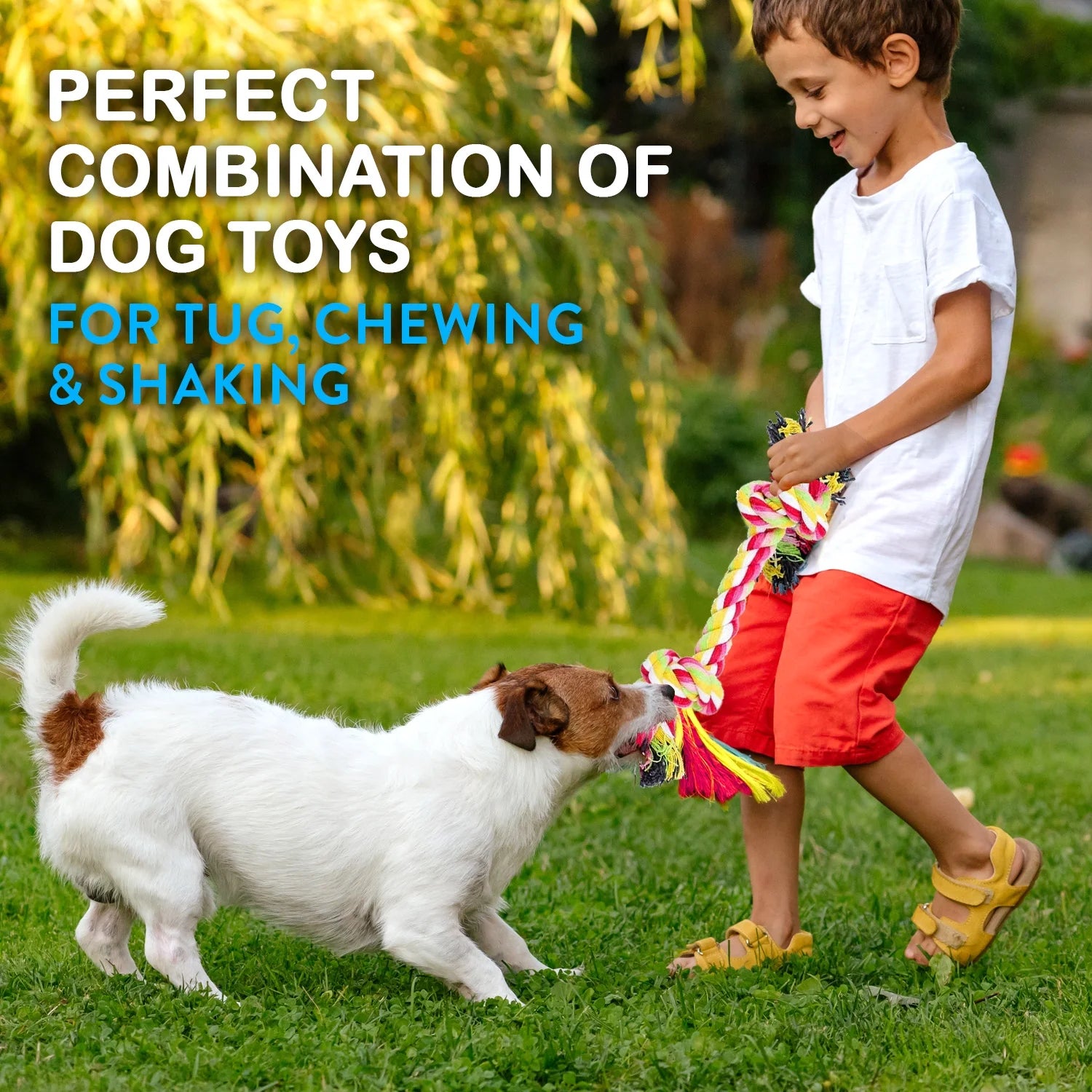 Dog Toy Pack of 11 Puppy Teething Toys