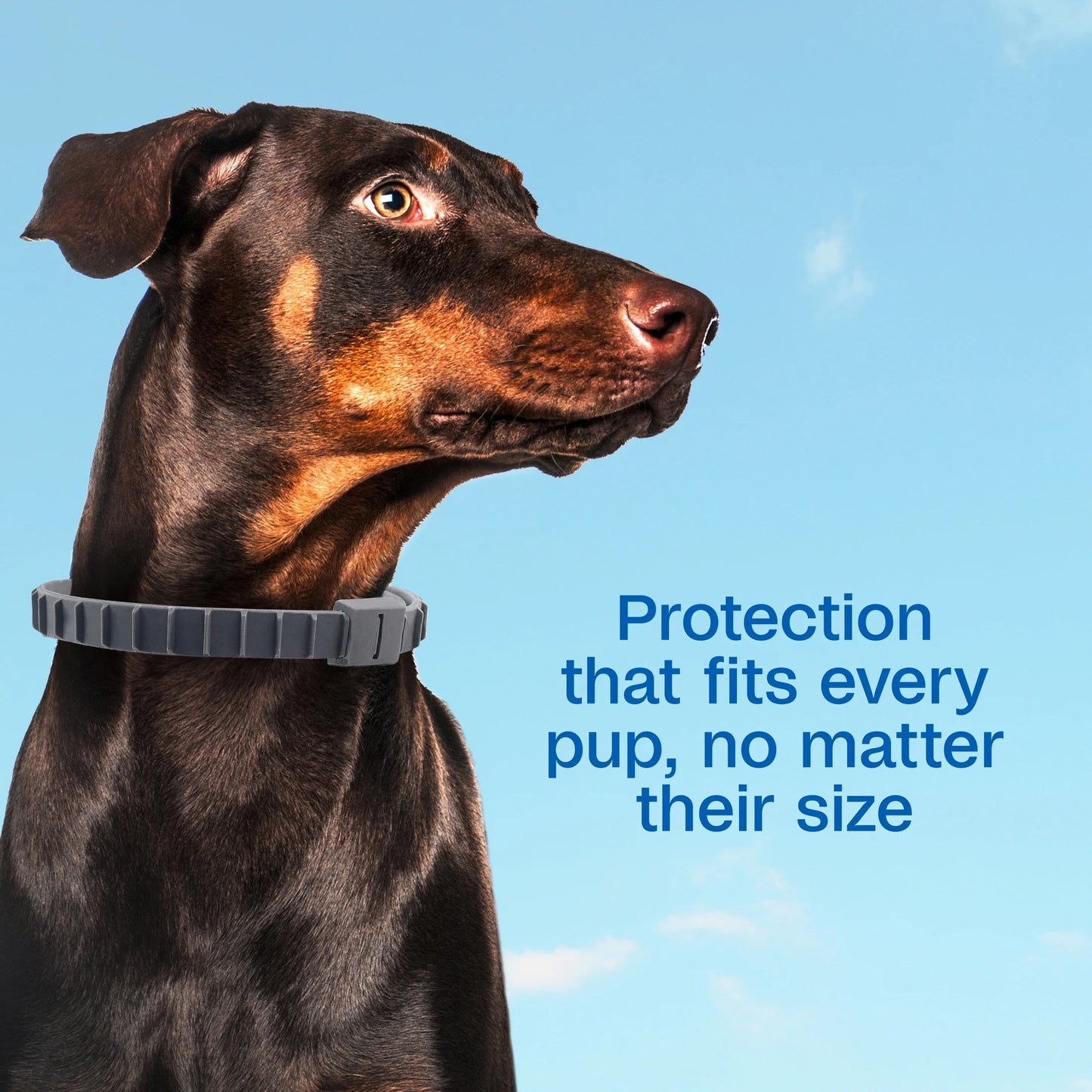 Flea & Tick Collar Plus for Dogs & Puppies, 2 Count