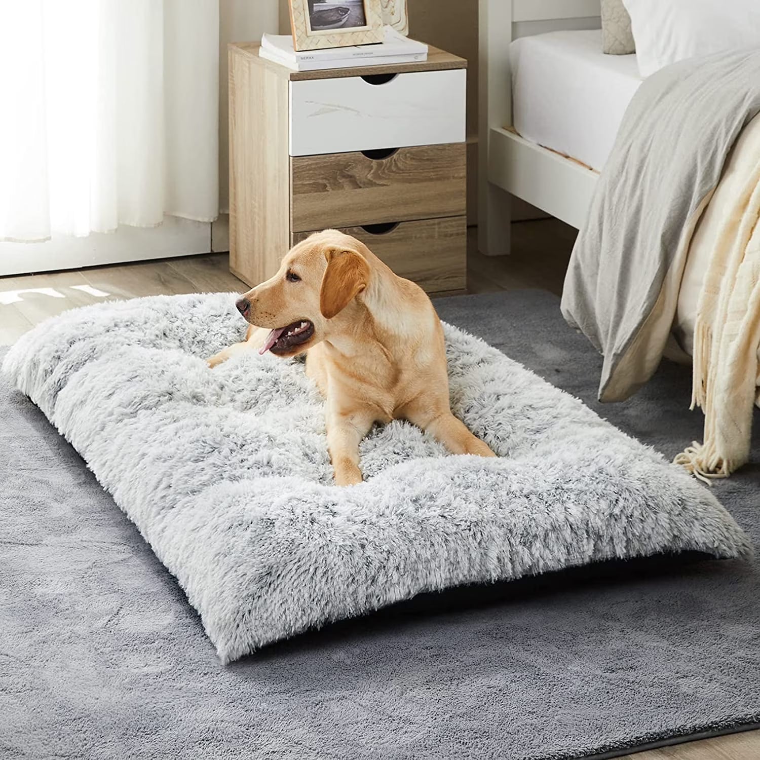 Dog Bed for Large and Medium Dogs, 48 x 28 inch