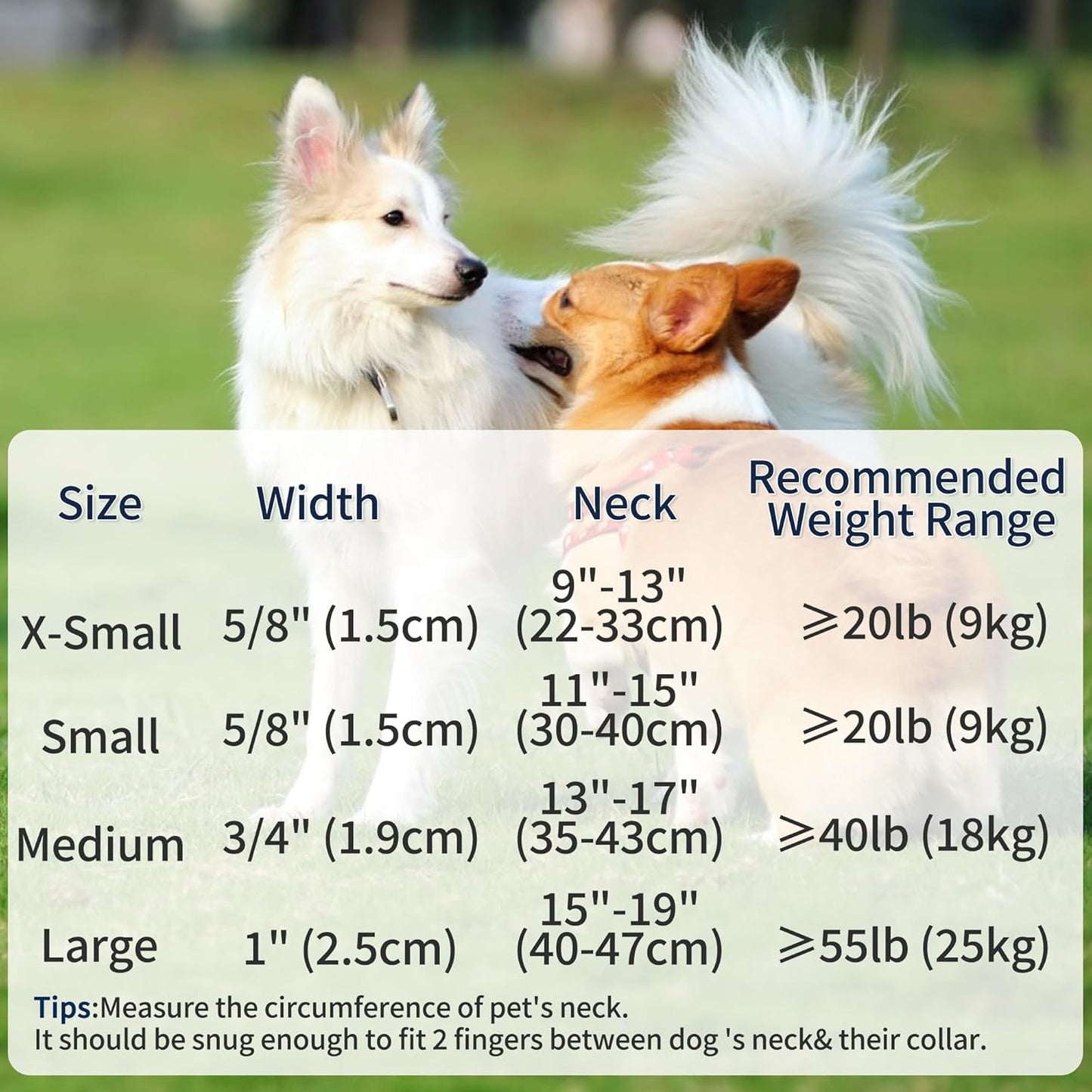 Lightweight Solid Red Collar for Medium Dogs