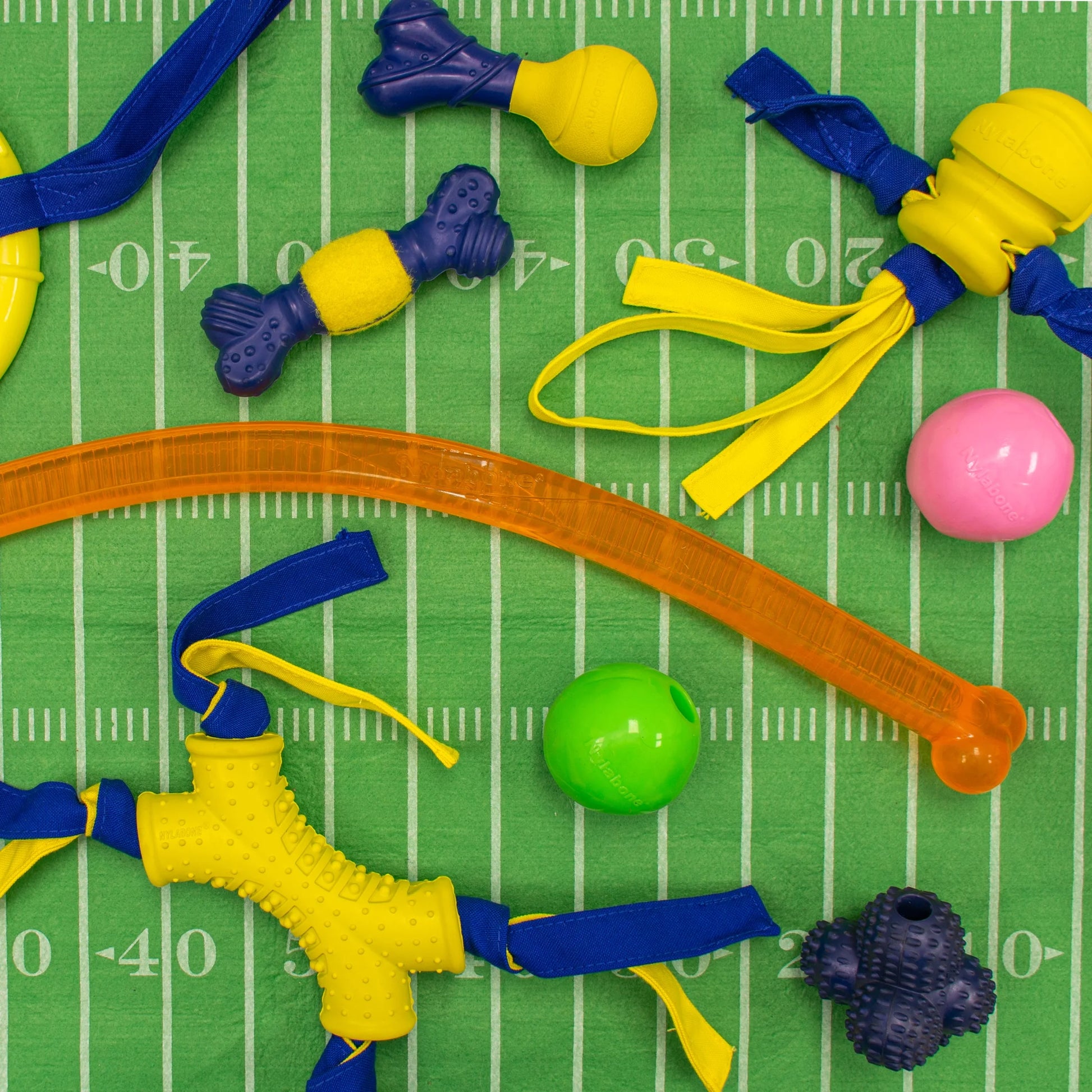 Power Play Crazy-Ball Dog Toy, Large