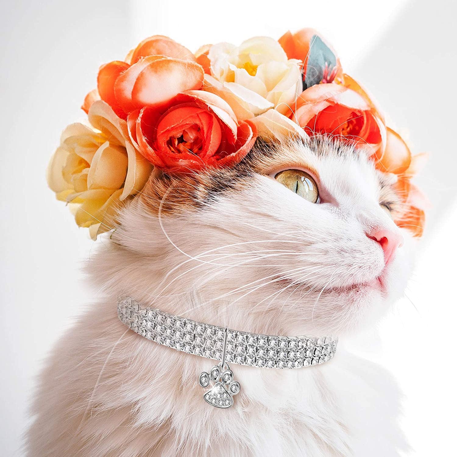 3 Pieces Bling Rhinestones Pet Collars for Small Pet Cat Dogs Puppy (White)