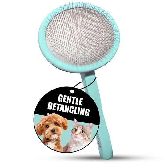 Wooden Slicker Brush for Dogs & Cats, Medium (M), Mint