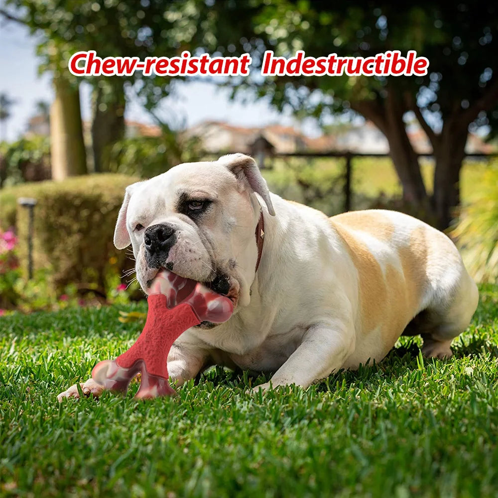 Large Dog Chew Toy for Large/Medium Dogs