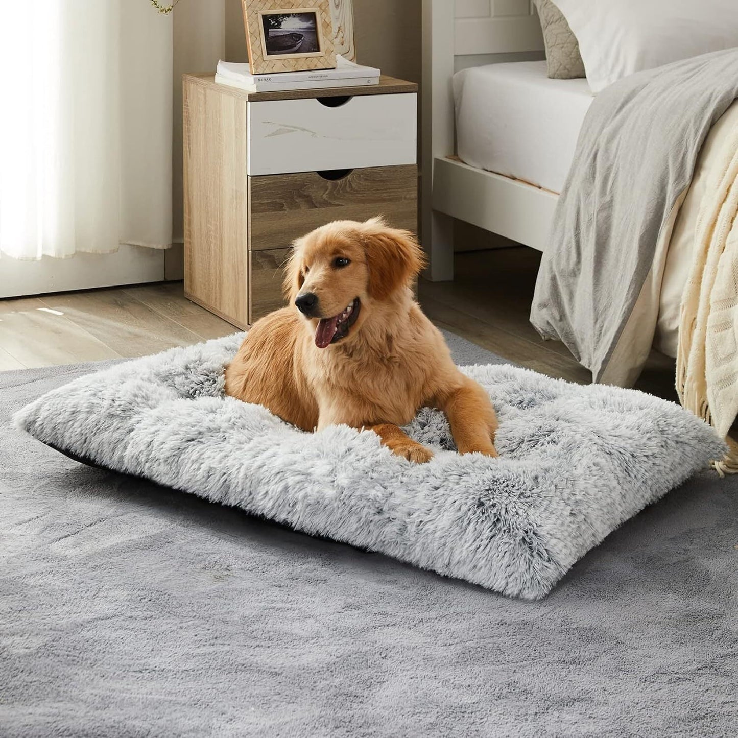 Large Dog Bed for Large and Medium Dogs 41 x 27 inch