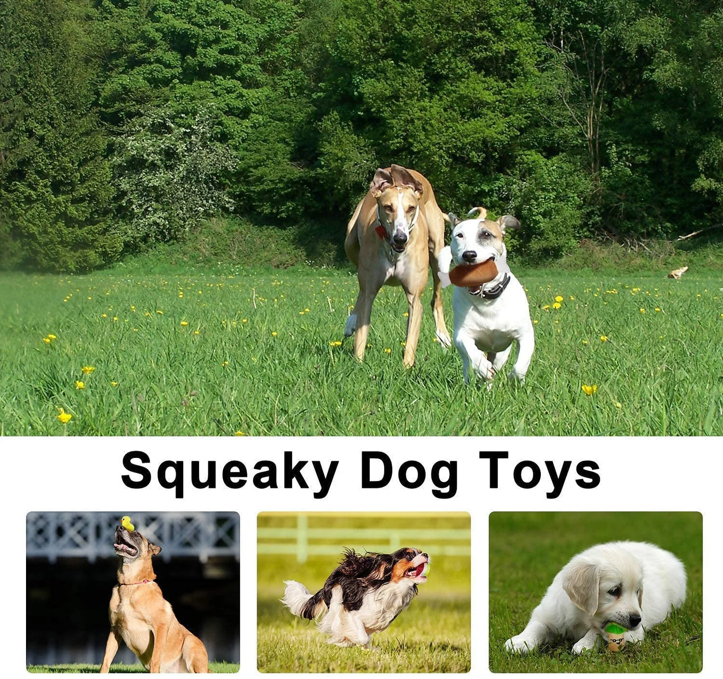 14 Pack Dog Squeaky Toys - Small Medium Dog Pets