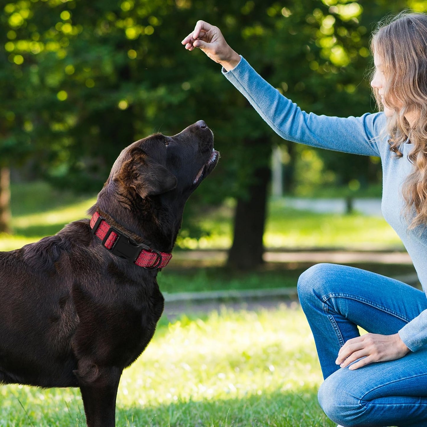 Lightweight Solid Red Collar for Medium Dogs