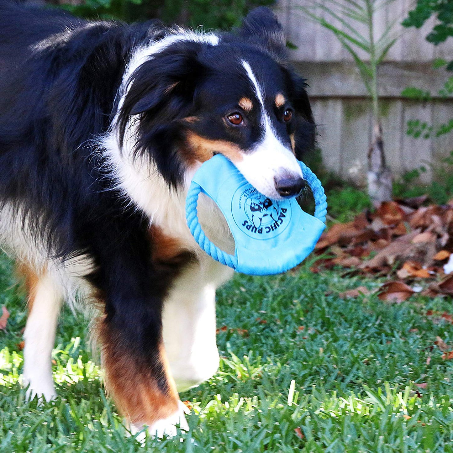 Dog Toy Pack of 11 Puppy Teething Toys