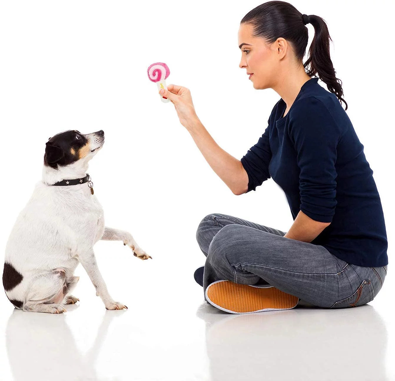 14 Pack Dog Squeaky Toys - Small Medium Dog Pets