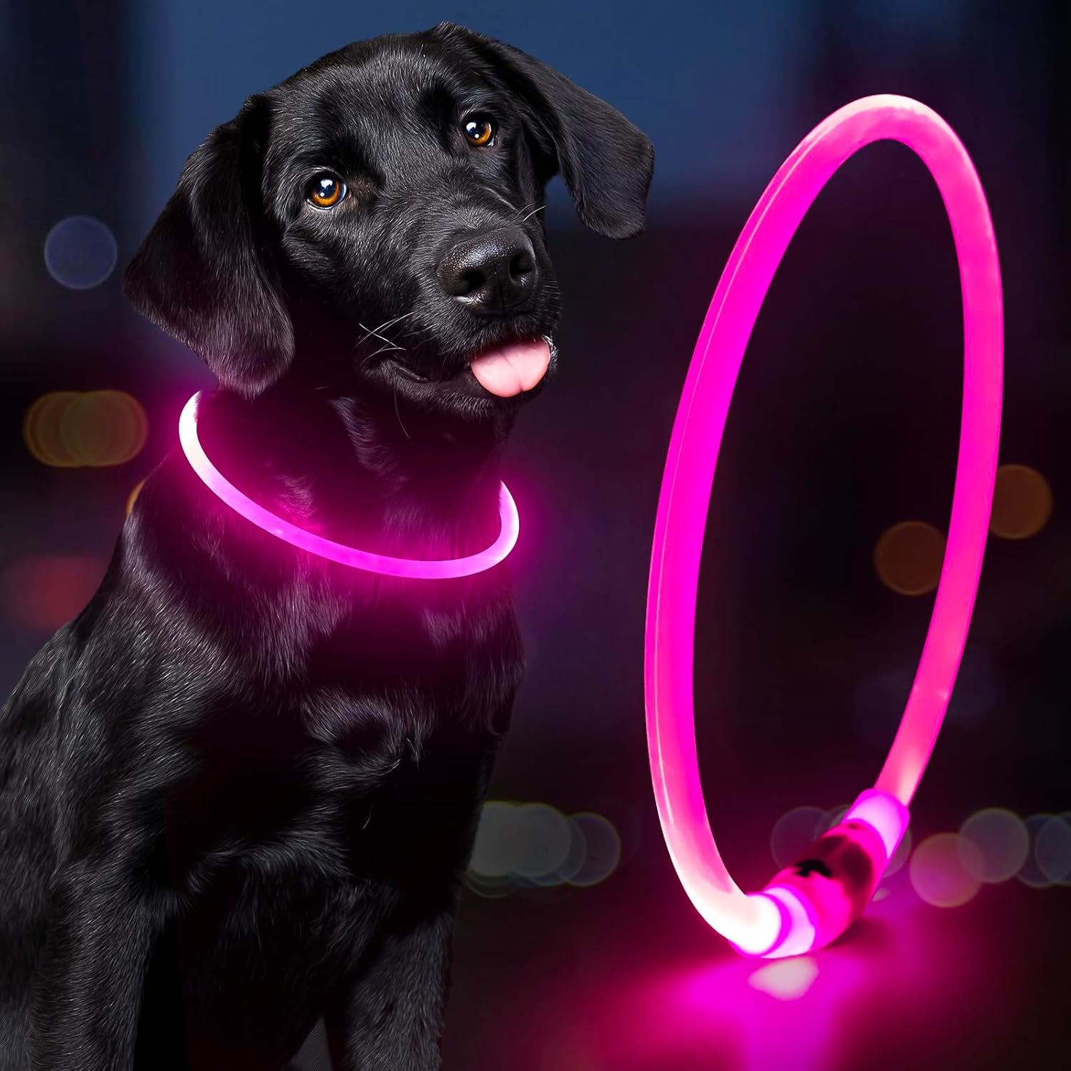 Light Up Dog Collar (Pink)