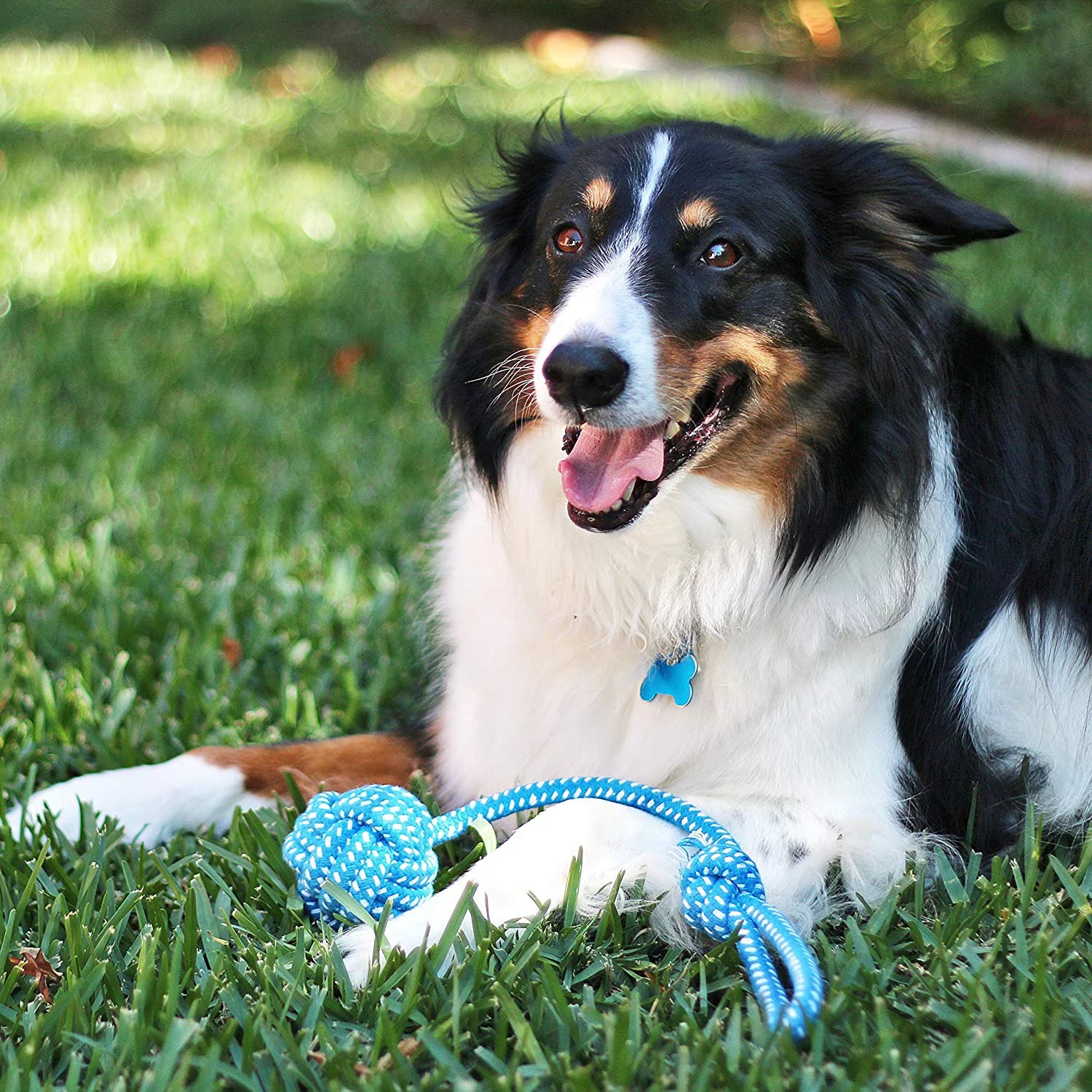 Dog Toy Pack of 11 Puppy Teething Toys