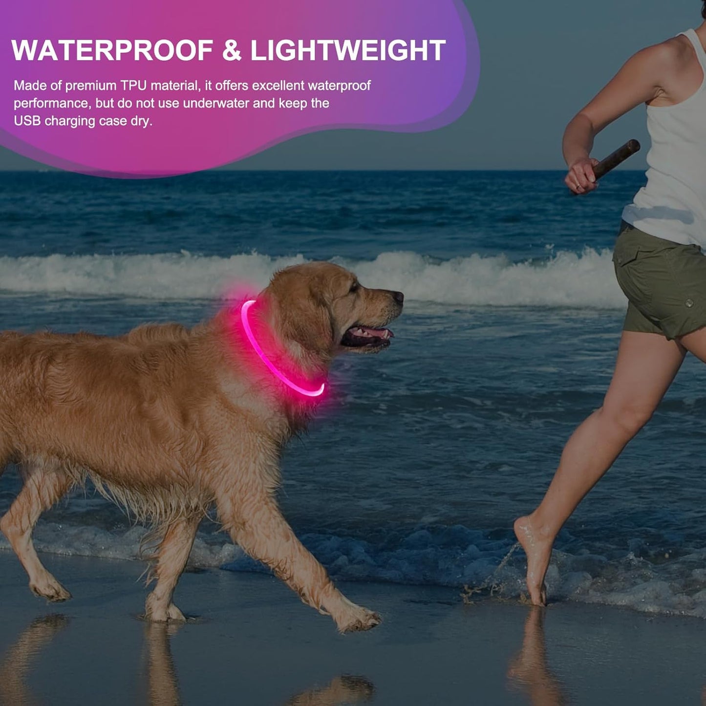 Light Up Dog Collar (Pink)