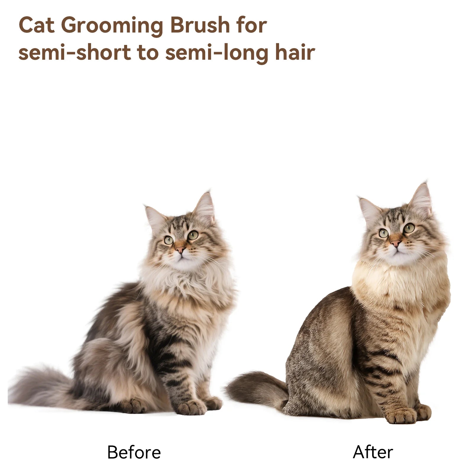 Cat & Dog Grooming Brush, Perfect for All Coat Types – Gray