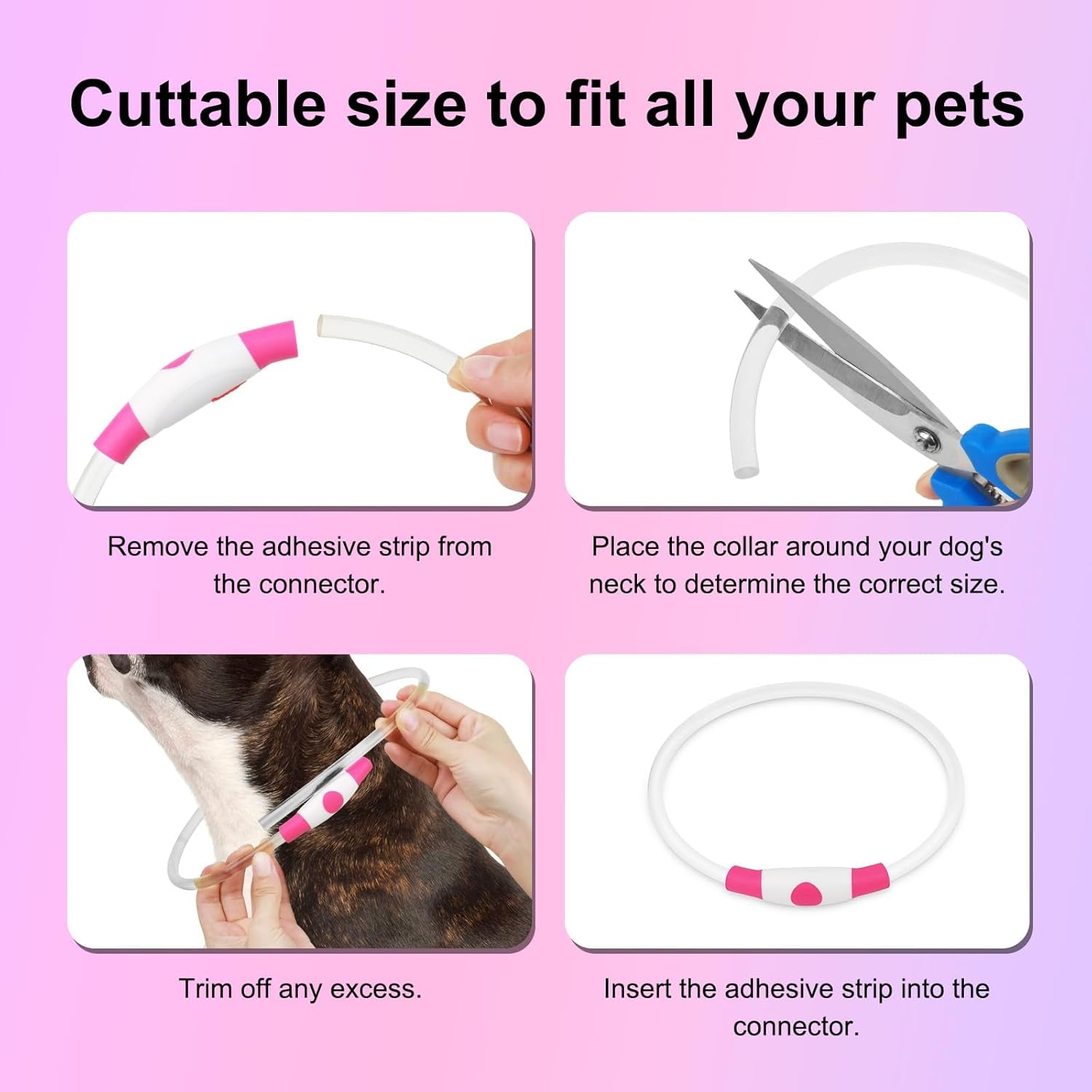 Light Up Dog Collar (Pink)