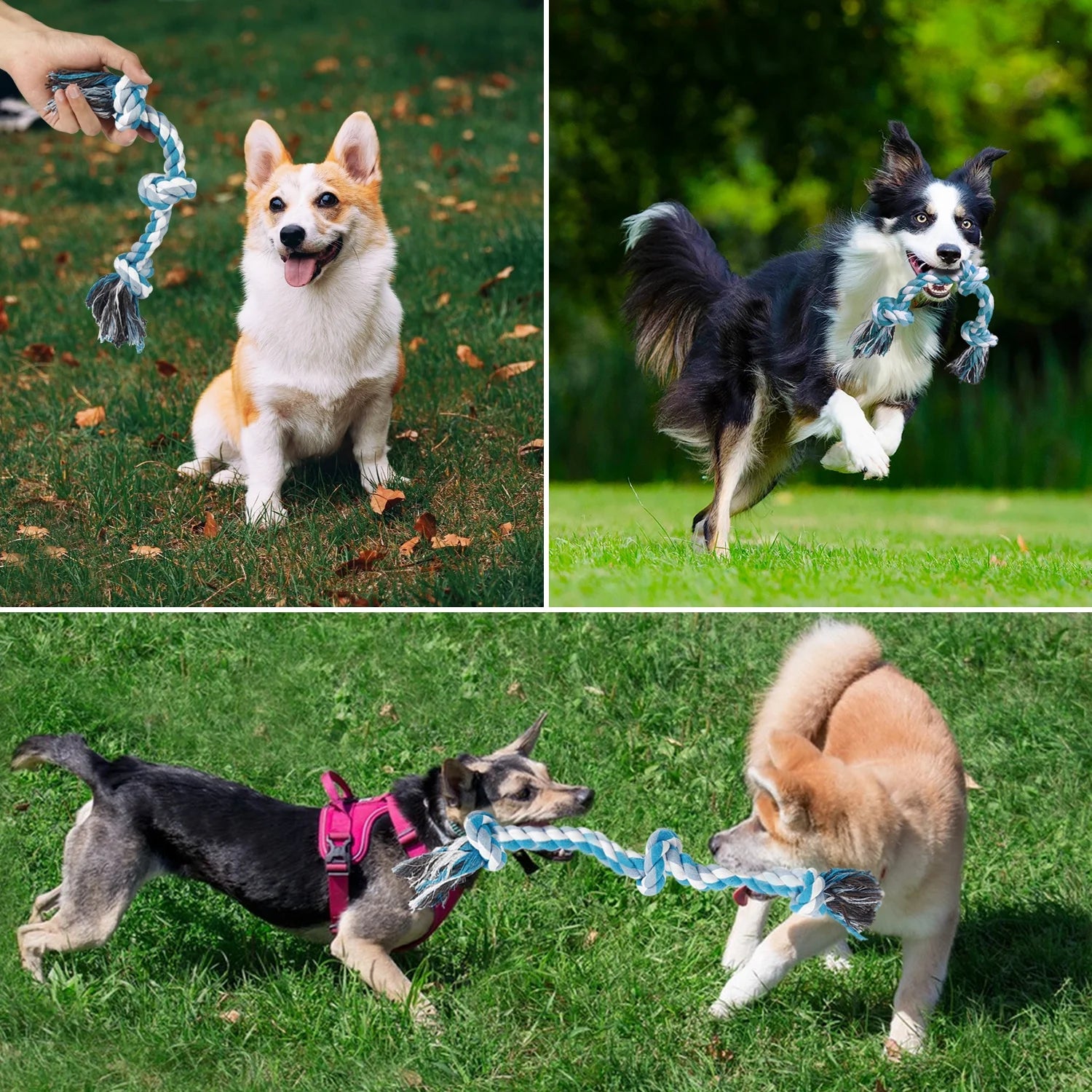 Vivifying 3 Knots Dog Rope Toys