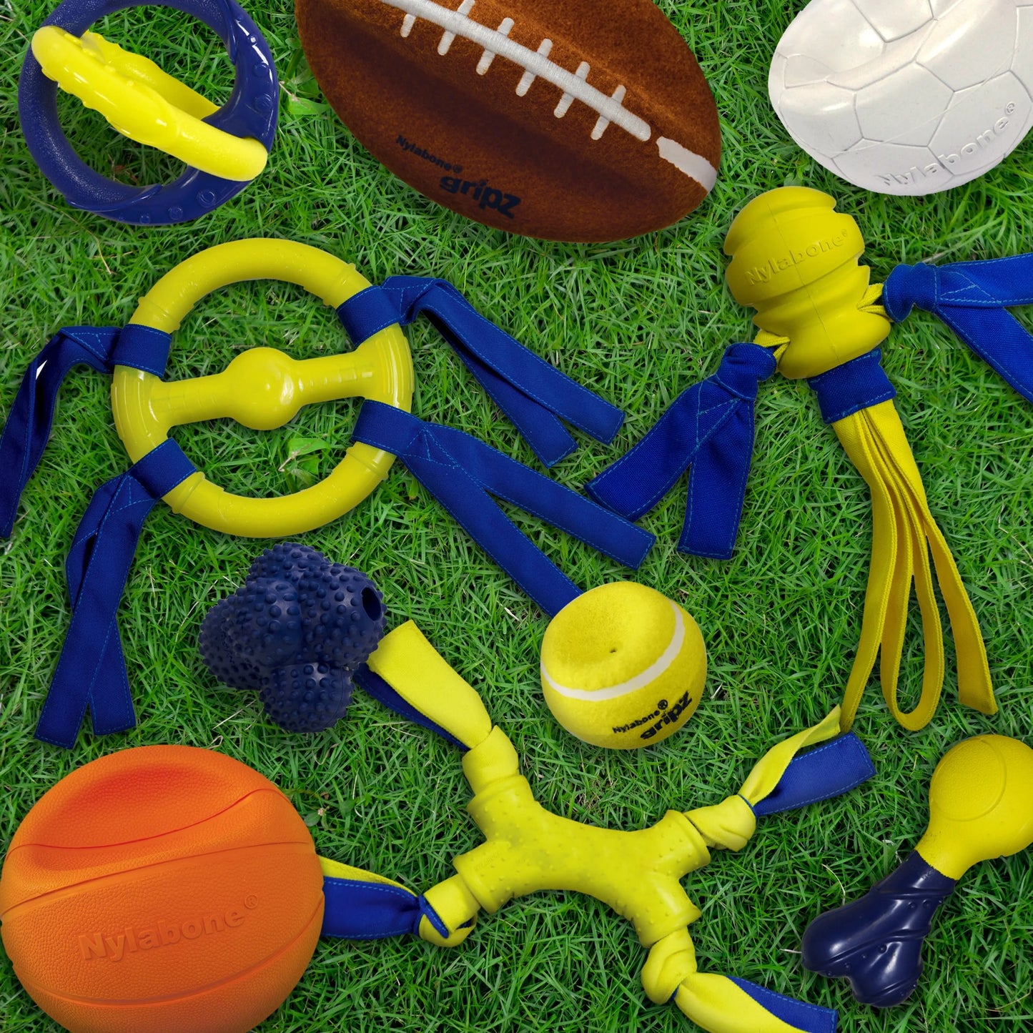 Power Play Crazy-Ball Dog Toy, Large