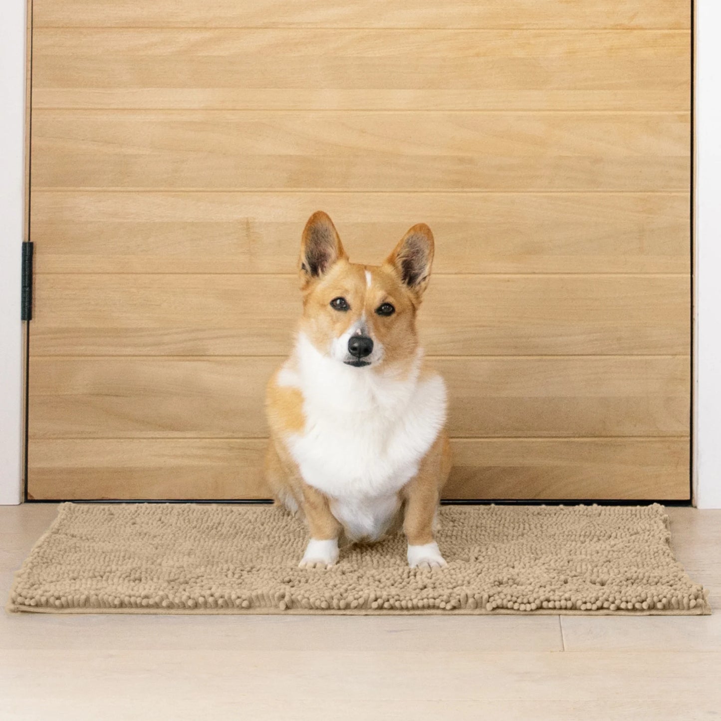 Dog Mat for Muddy Paws, Washable Dog Dog Mat, Oatmeal