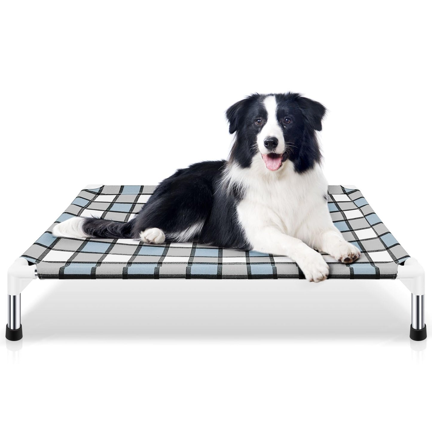 Elevated Dog Bed | Medium