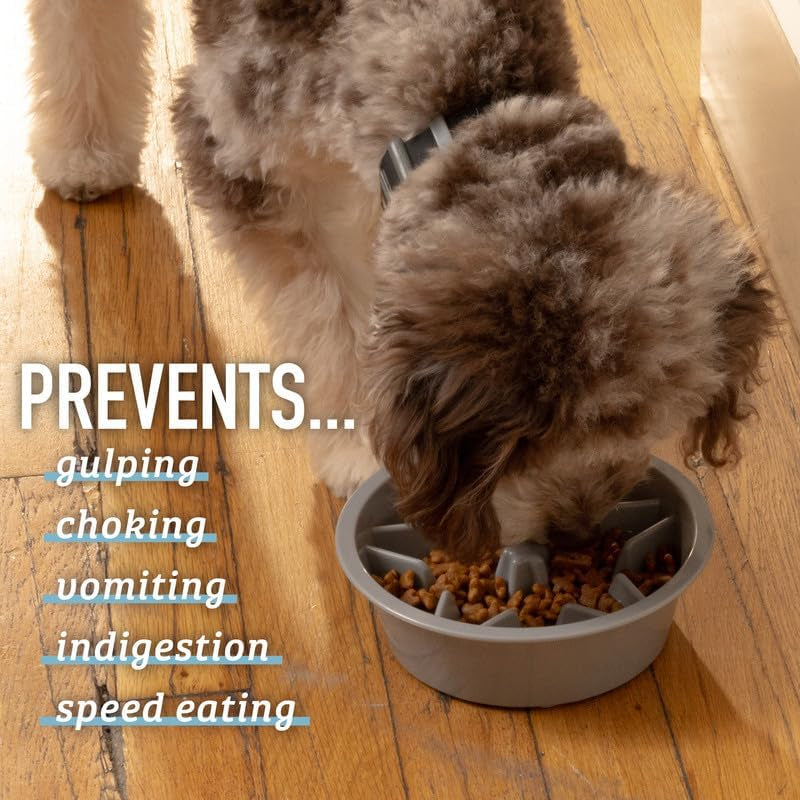 Leash Boss Puzzle Slow Feeder Dog Bowl (2 Cup) - Gray