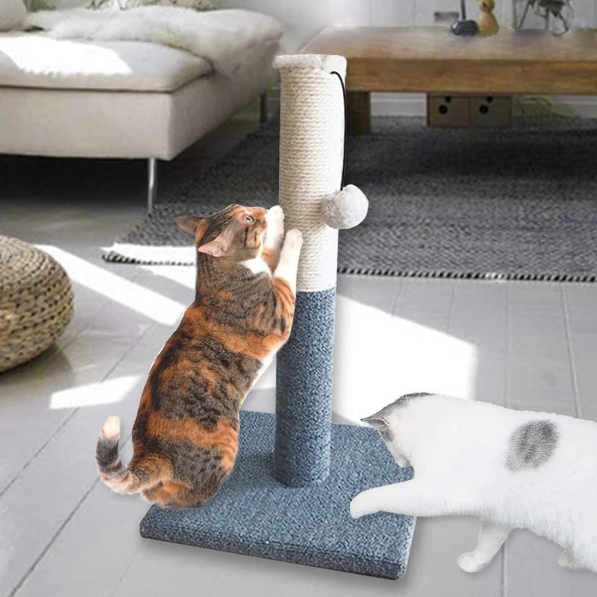 20" Cat Scratching Post.