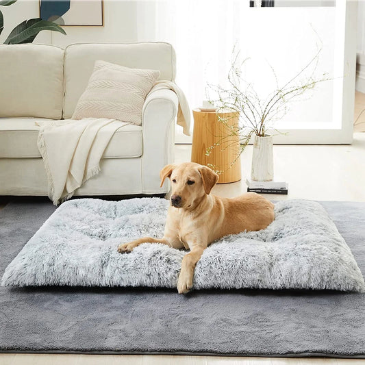 Dog Bed for Large and Medium Dogs, 48 x 28 inch
