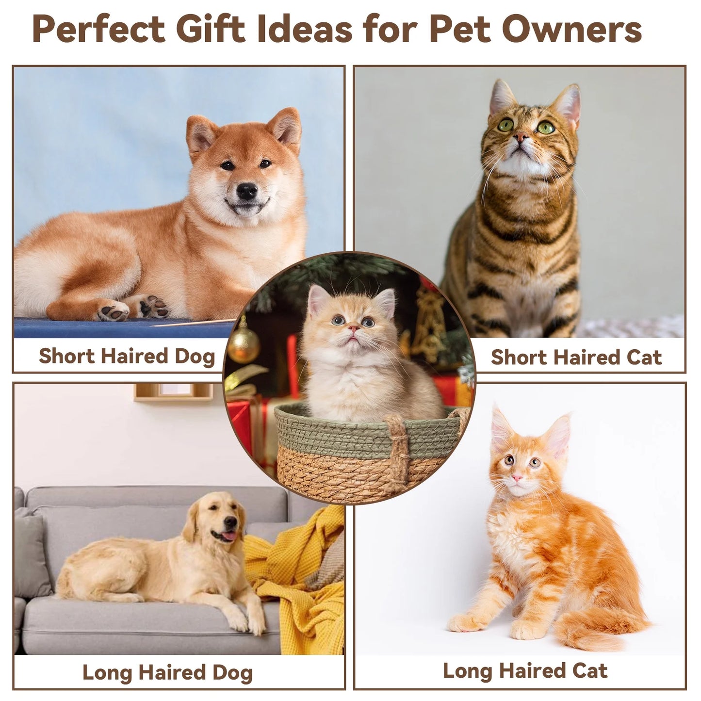 Cat & Dog Grooming Brush, Perfect for All Coat Types – Gray