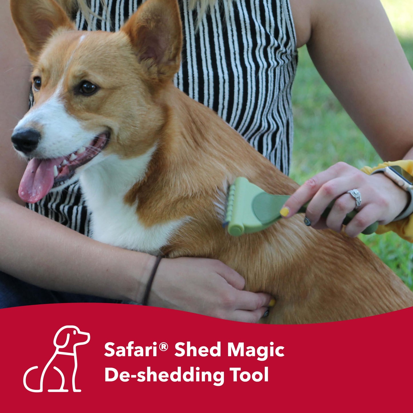 Safari Shed Magic Deshedding & Detangling Dog Brush - Small