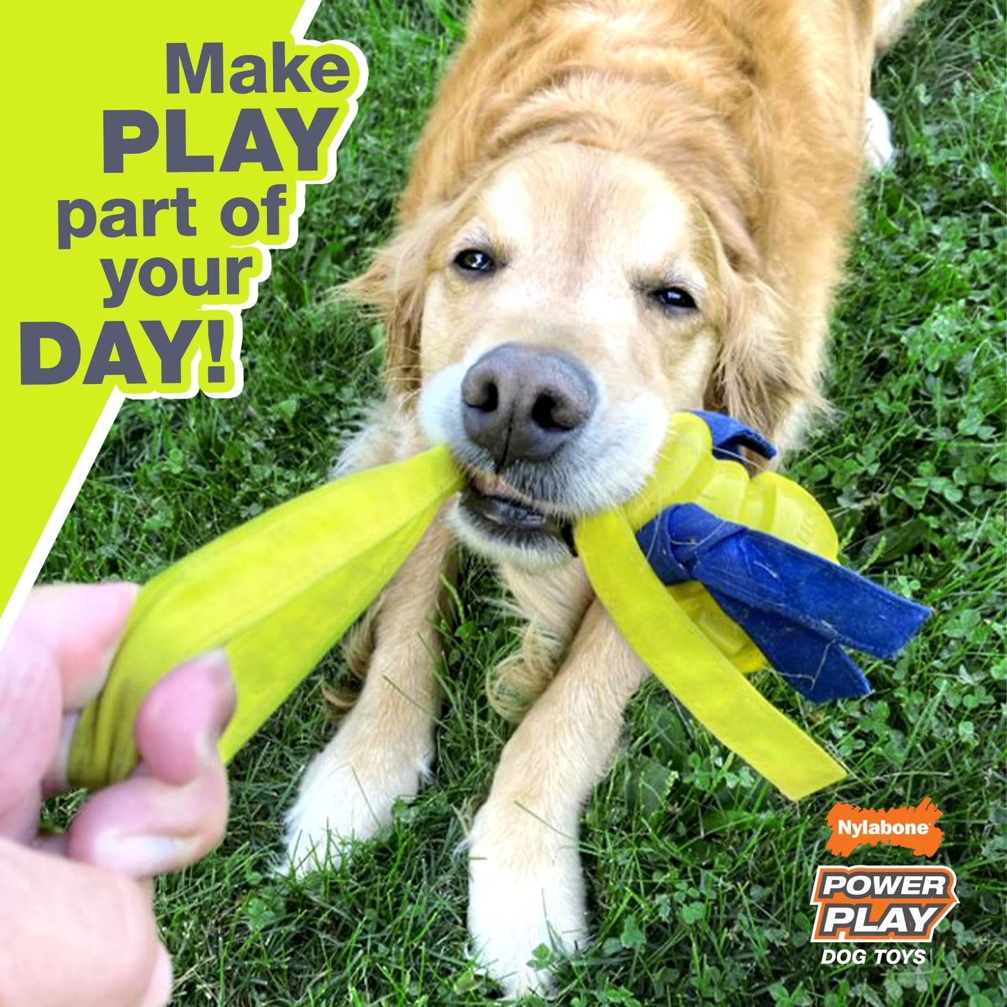 Power Play Crazy-Ball Dog Toy, Large