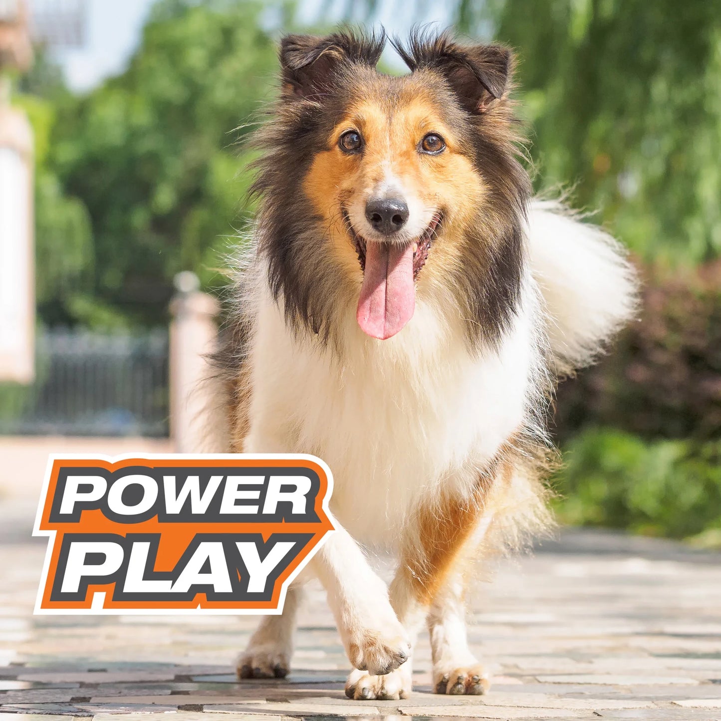 Power Play Crazy-Ball Dog Toy, Large