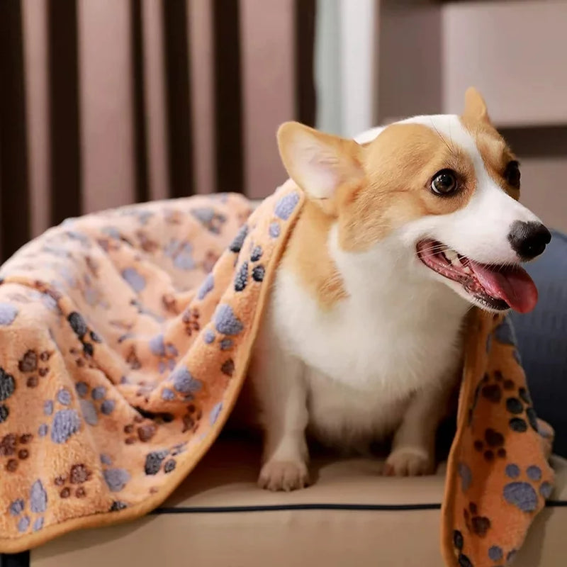 1 Pack 3 Blankets Super Soft Fluffy Premium Fleece Pet Blanket Flannel Throw for Dog Puppy Cat (23x16 inch)