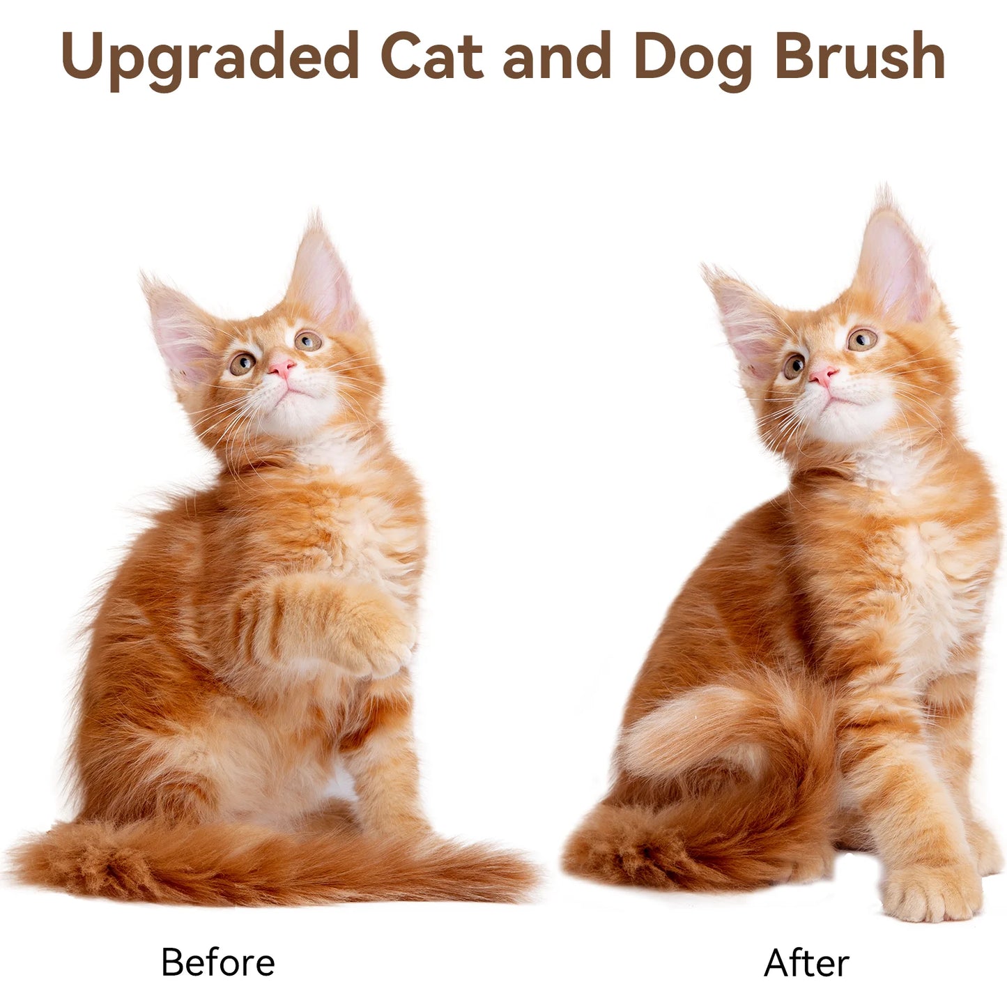 Cat & Dog Grooming Brush, Perfect for All Coat Types – Gray