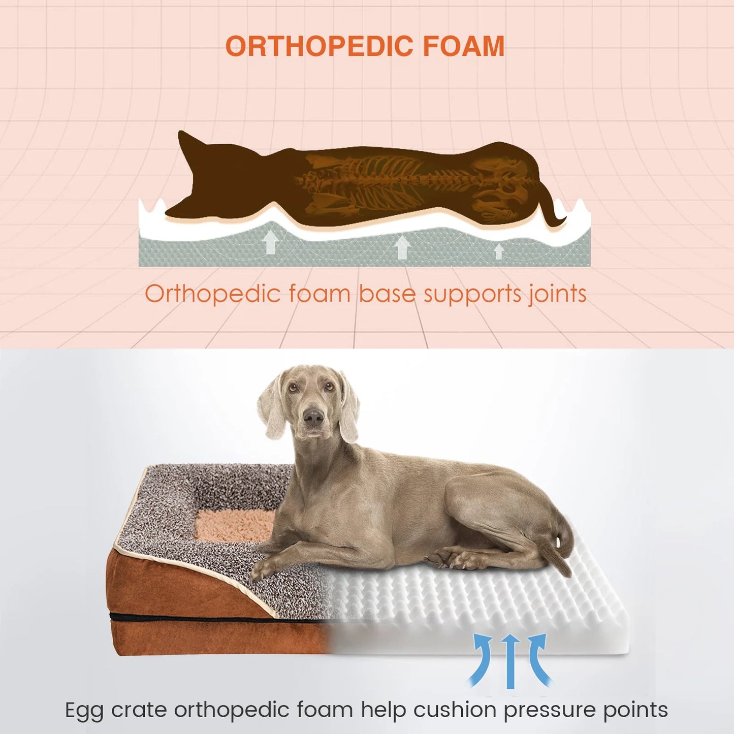 Dog Beds for Large Medium Small Dogs 